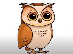 Easy Owl Drawing