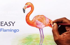 Flamingo Drawing