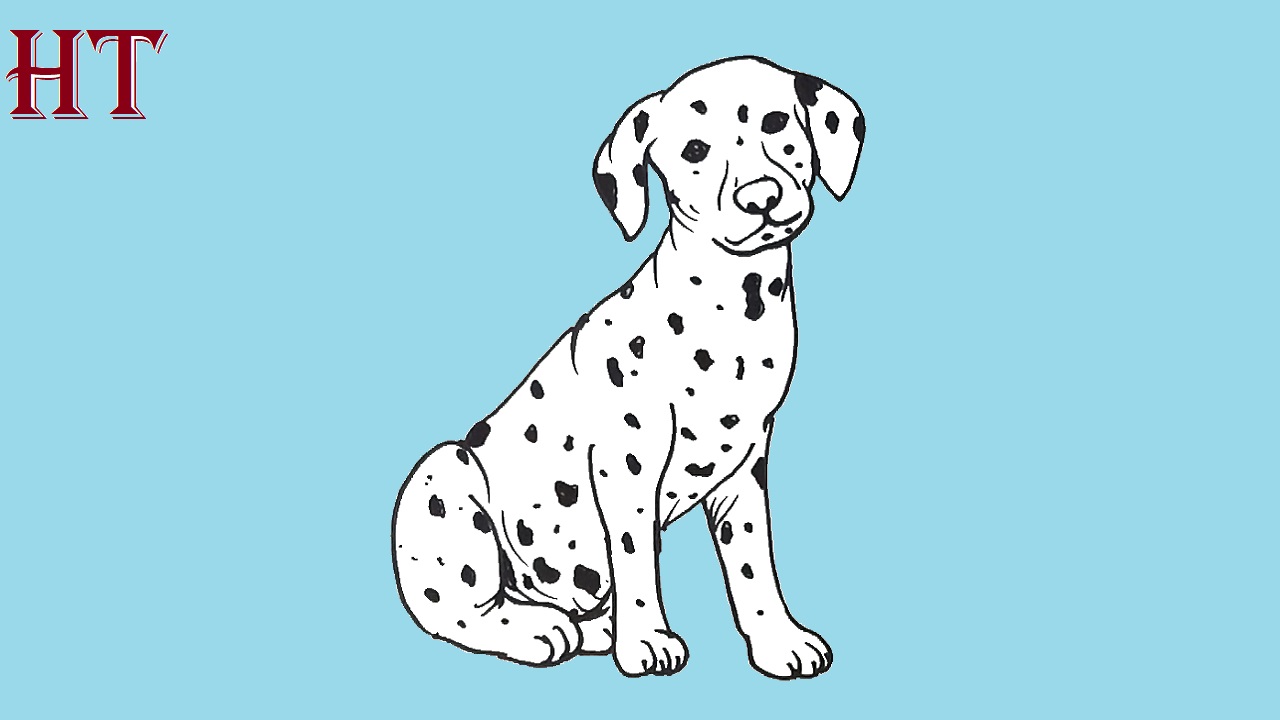 How to draw a Dalmatian Dog Step by Step Tutorial