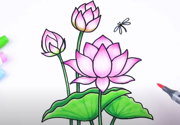 Lotus Flower Drawing Step by Step Tutorial