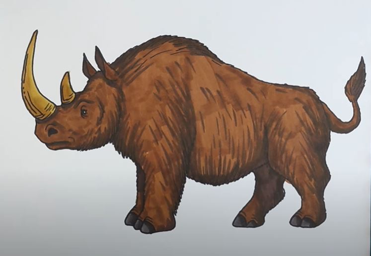RHINO Drawing Step by Step Tutorial