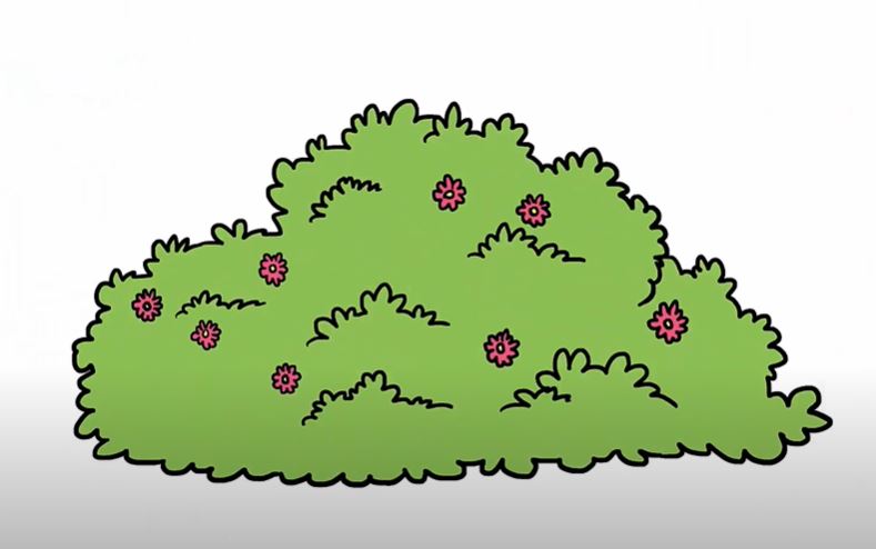 Bush Drawing Step by Step Tutorial