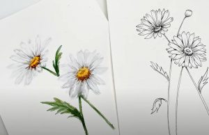 Daisy Drawing