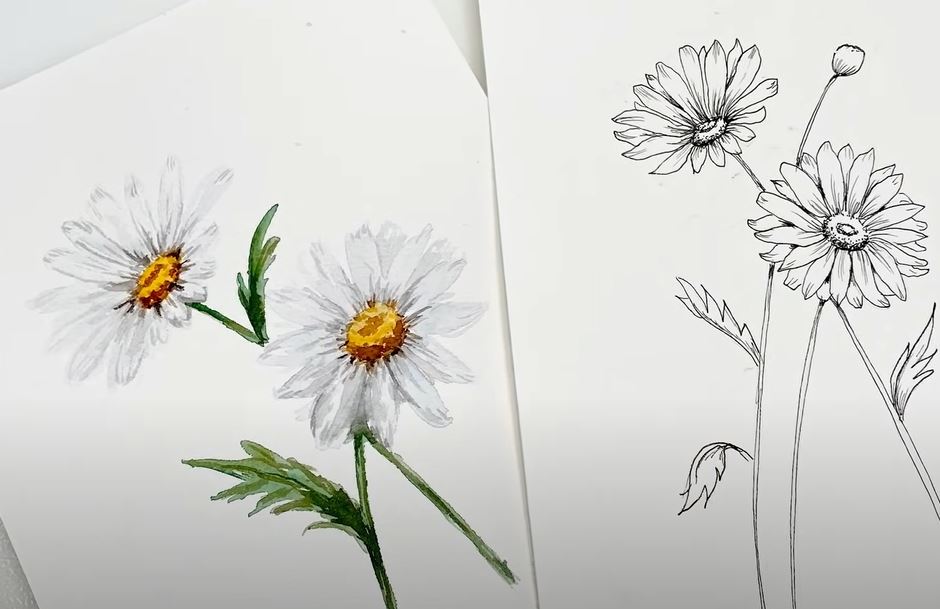Daisy Flower Drawing Step by Step