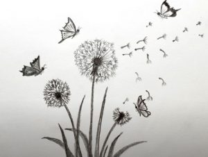 Dandelion Drawing