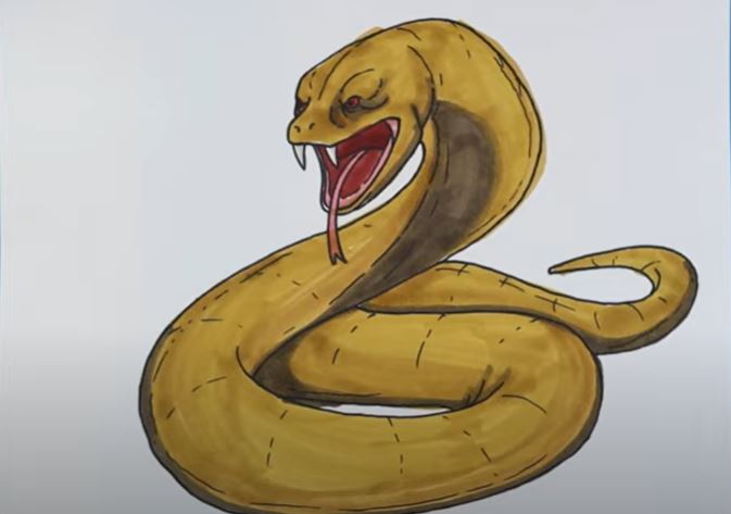 How to Draw a Viper Step by Step || Snake