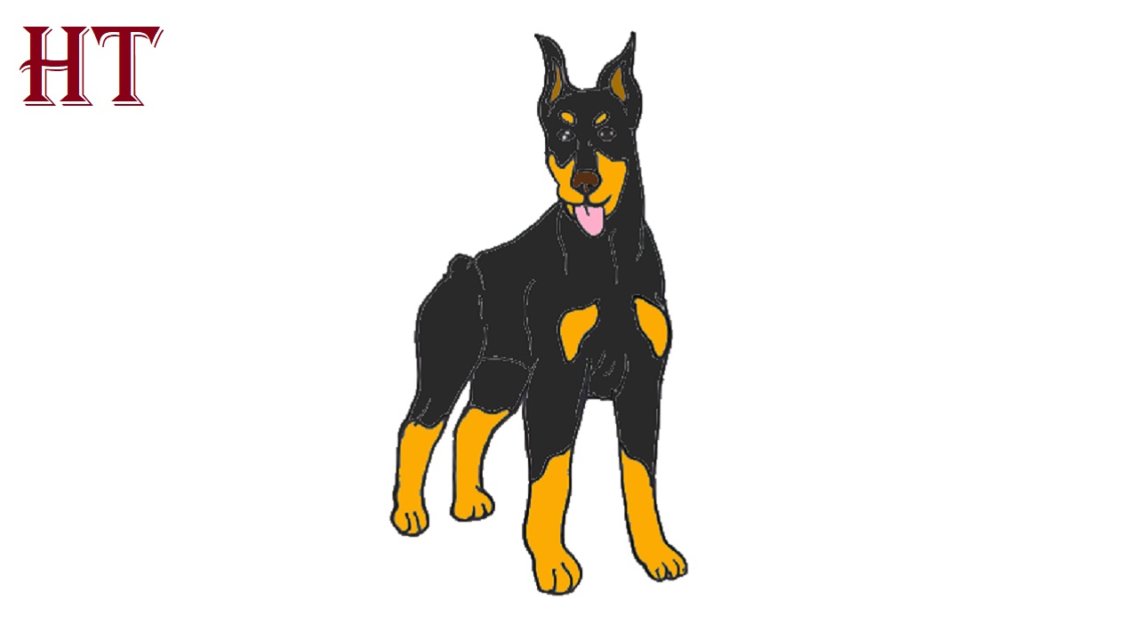 How to draw a Doberman Dog Step by Step
