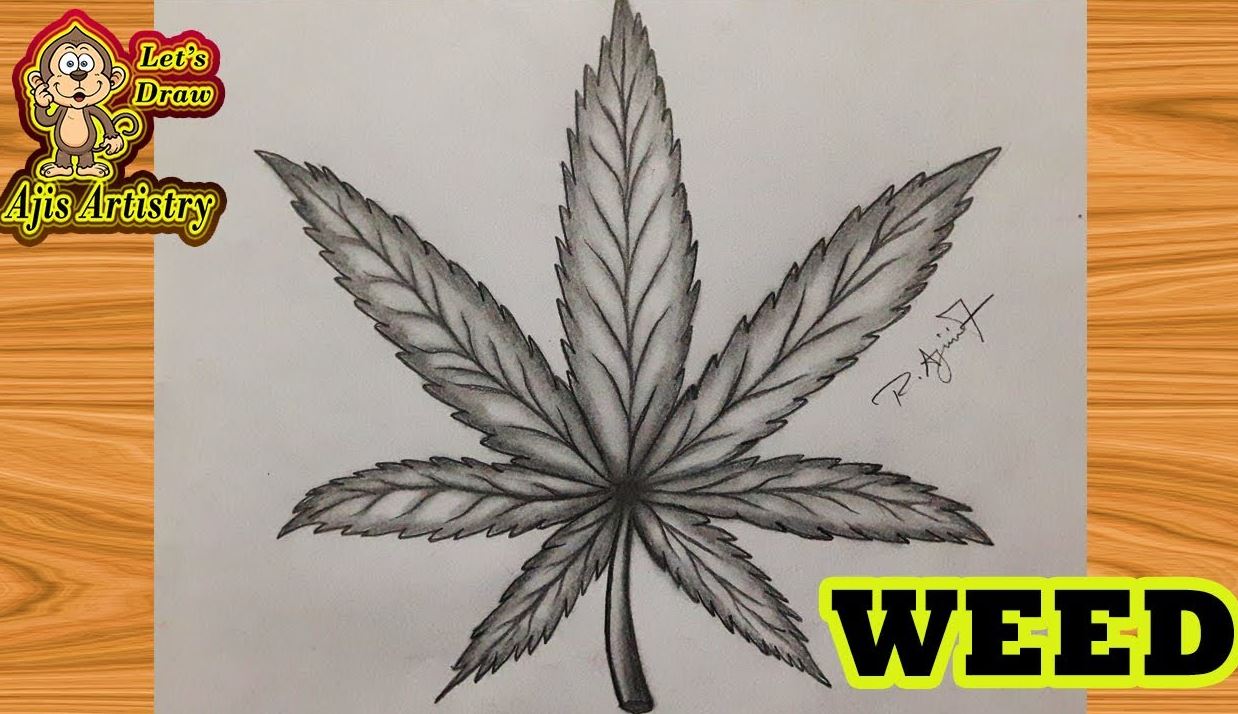 How To Draw A Pot Leaf Step by Step