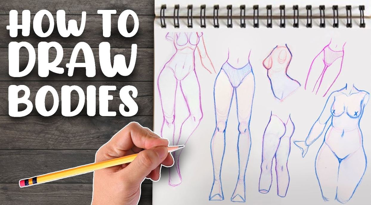 How to draw Female bodies Step by Step
