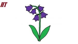 How to draw a Bluebell