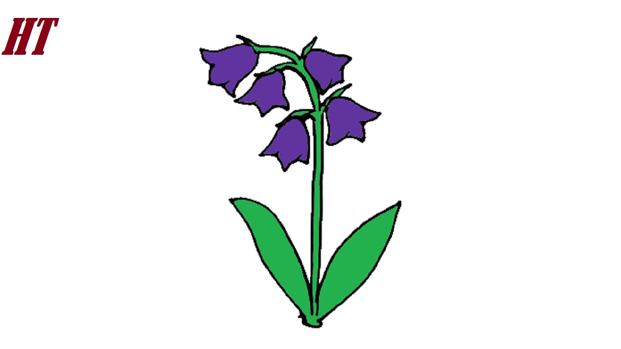 How to draw a Bluebell Flower