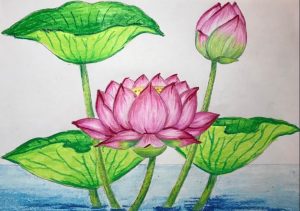 How to draw a beautiful Lotus Flower