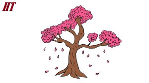 How to Draw a Cherry Tree
