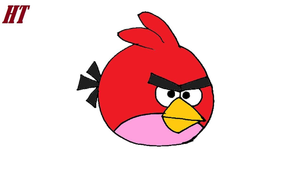 How to Draw Red Angry Bird Step by Step