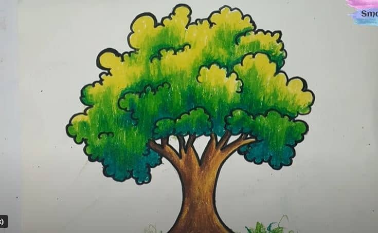 How to Draw a Big Tree Step by Step