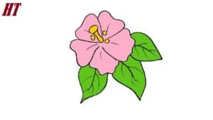 How to Draw a Tropical Flower