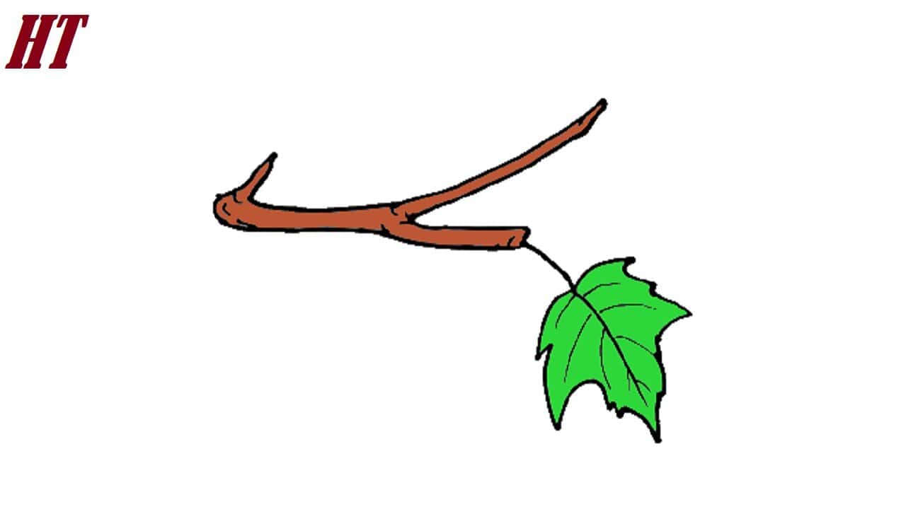 How to draw a leaf on a tree Step by Step