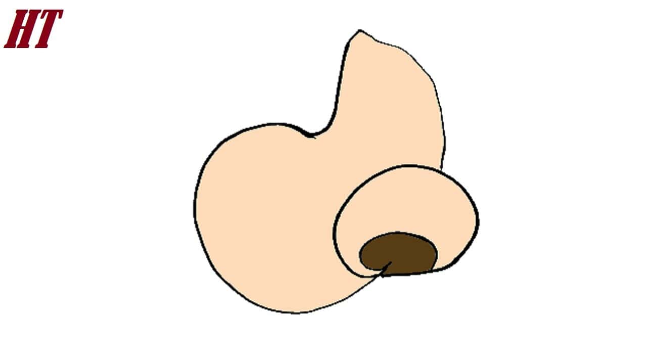 How to draw a Cartoon Nose Step by Step