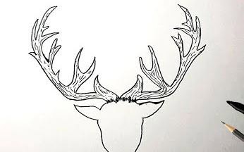 How to Draw Reindeer Antlers Step by Step