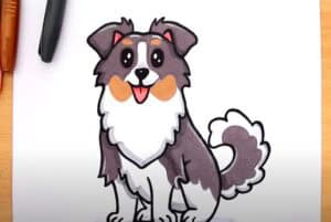 How to Draw an Australian Shepherd