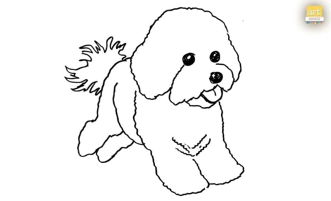 How to Draw a Bichon Frise Dog