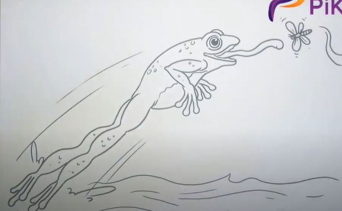 How to Draw a Jumping Frog Step by Step