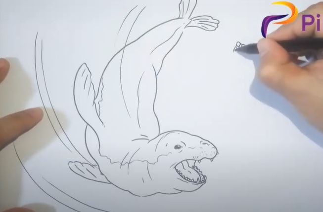 How to Draw a Leopard Seal Step by Step