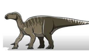 How to Draw an Iguanodon
