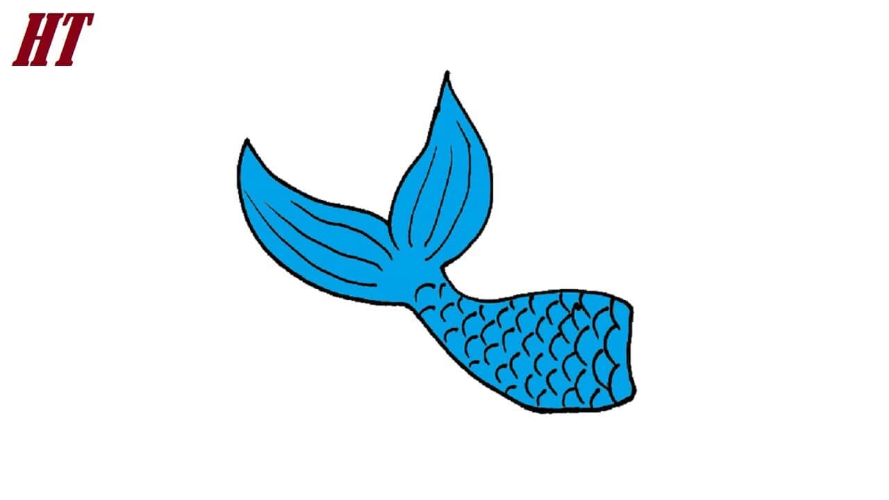 How to Draw a Mermaid Tail Step by Step