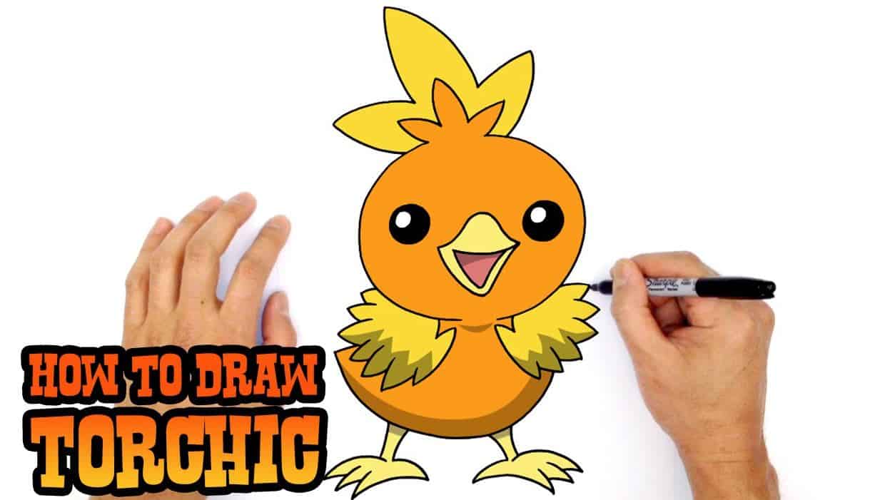 How to Draw Torchic Pokemon Step by Step