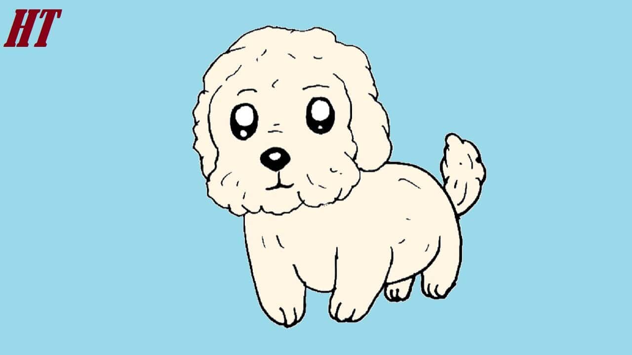 How to Draw a Maltese Dog Step by Step