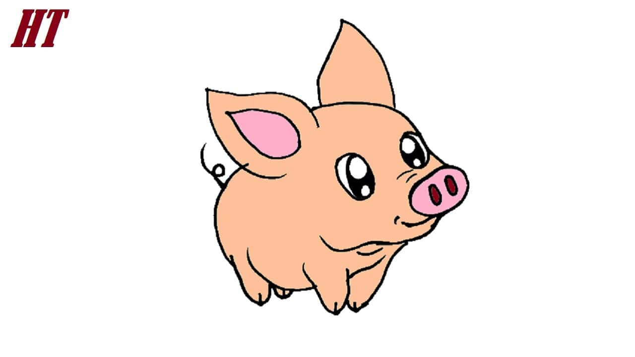 How to Draw a Simple Pig Step by Step