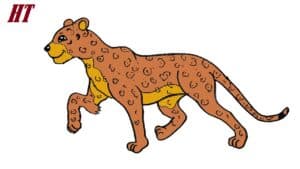 How to Draw a Cartoon Leopard