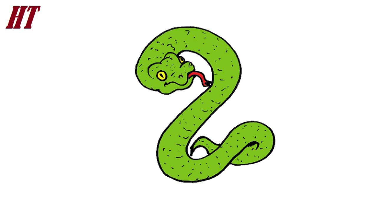 How to Draw an Easy Snake Step by Step