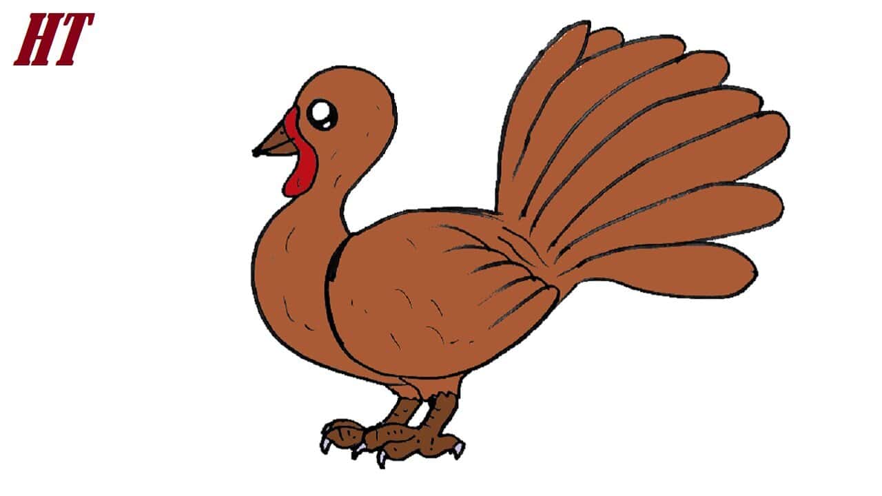 How to Draw an Easy Turkey Step by Step