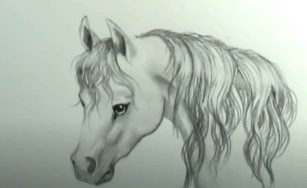How to Draw A Horse Mane Step by Step