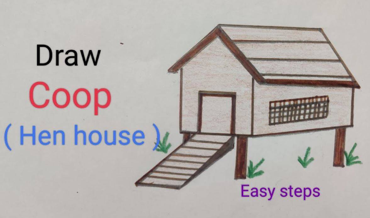 How to Draw a Chicken Coop Step by Step