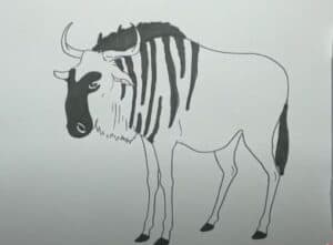 How to Draw a Wildebeest
