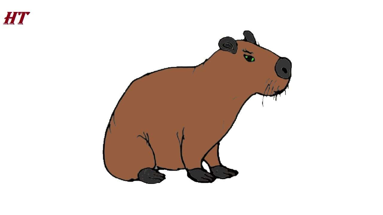 How to Draw a Capybara Step by Step