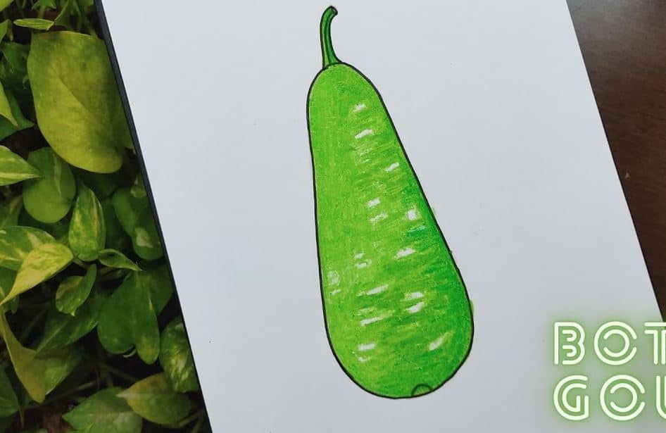How to Draw a Gourd step by step