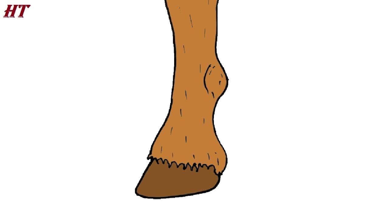 How to draw a Horse hoof Easy