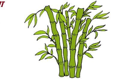 How to draw Bamboo step by step