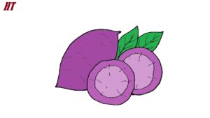 How to Draw Sweet Potato