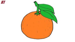 How to Draw a Tangerine