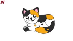 How to draw a Calico Cat