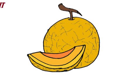 How to draw a Melon step by step