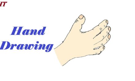 How to draw a Hand Easy Step by Step