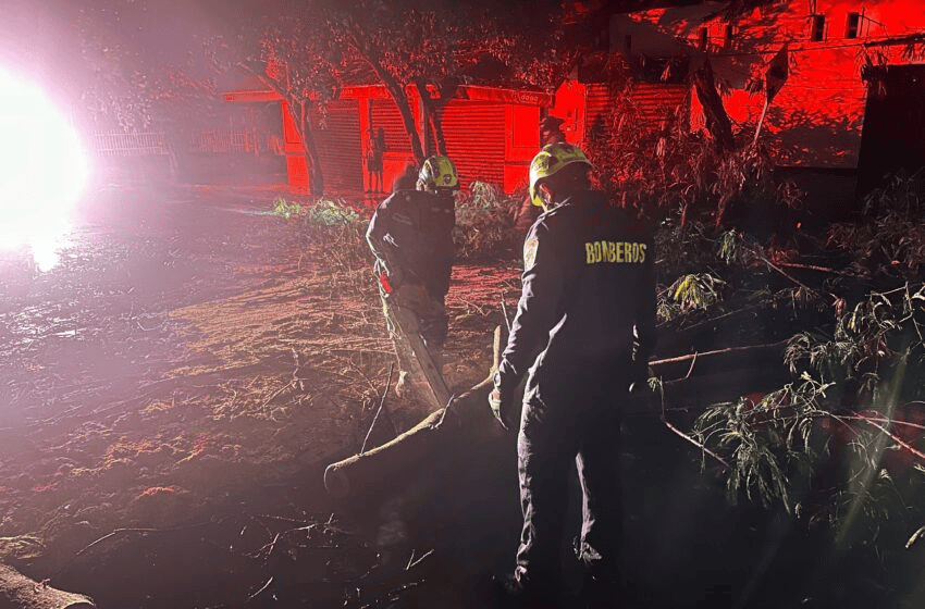Árbol caído en Neiva debido a fuertes lluvias, con bomberos trabajando para remover los escombros y prevenir más daños en la zona afectada.