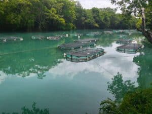 Acuicultura en Huila y México para fortalecer la cooperación en pesca y turismo.