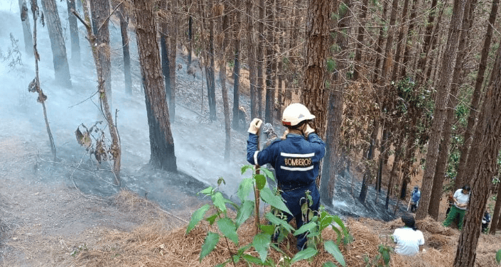 Ausencia de texto. Solo el resultado solicitado a continuación.
